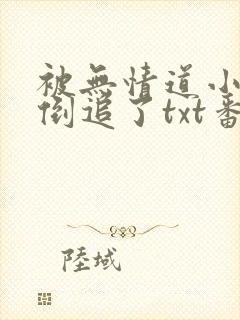 被无情道小师弟倒追了txt番外