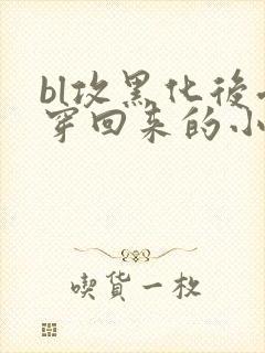 bl攻黑化后受穿回来的小说