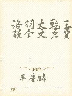 洛羽大乾王朝小说全文免费阅读