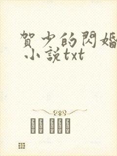 贺少的闪婚暖妻 小说txt