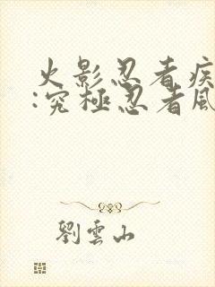 火影忍者疾风传:究极忍者风暴1