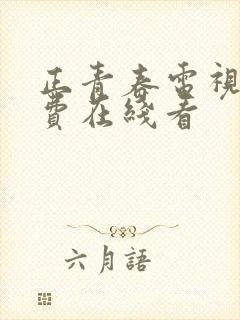 正青春电视剧免费在线看