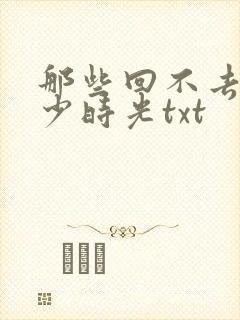 那些回不去的年少时光txt