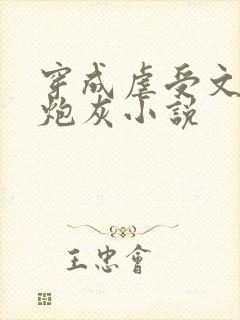 穿成虐受文里的炮灰小说