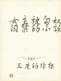 女主被匈奴男主囚禁的小说