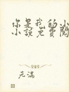 你是我的小确幸小说免费阅