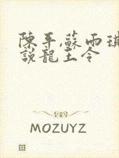 陈平,苏雨琪小说龙王令