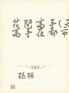 花间高手(天才高手在都市)