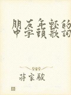 朋友年轻的妈妈中字头歌词区间放置