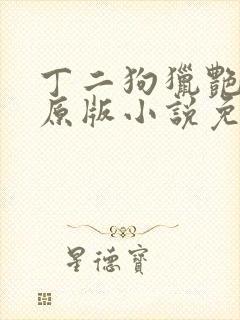 丁二狗猎艳人生原版小说免费阅读