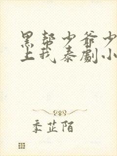 黑帮少爷少爷爱上我泰剧小说