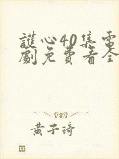 护心40集电视剧免费看全集