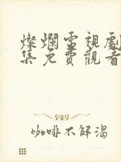 灿烂电视剧40集免费观看高清