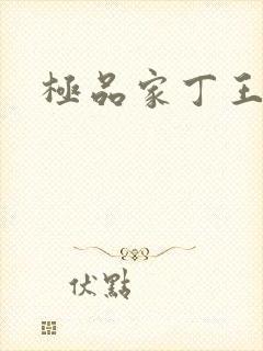 极品家丁王鹏篇封面