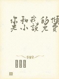 你和我的倾城时光小说免费阅读封面