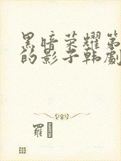 黑暗荣耀第二季的影子韩剧免费观看