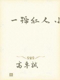 一号红人 小说