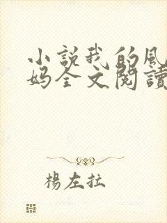 小说我的风流妈妈全文阅读