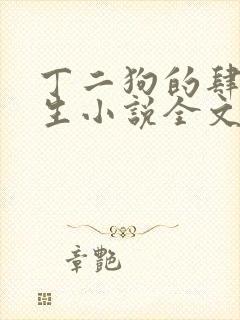 丁二狗的肆意人生小说全文阅读封面