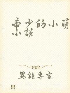 帝少的小萌妻 小说