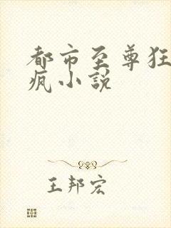 都市至尊狂兵陈疯小说