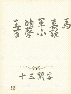 王明军喜马拉雅有声小说