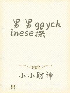 男男gaychinese操