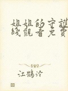 姐姐的守护者在线观看免费完整版封面