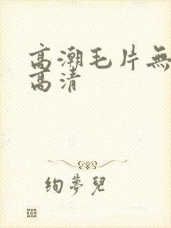 高潮毛片无遮挡高清