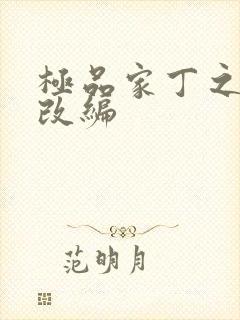 极品家丁之黑暗改编封面