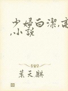 少妇白洁,高义,小说