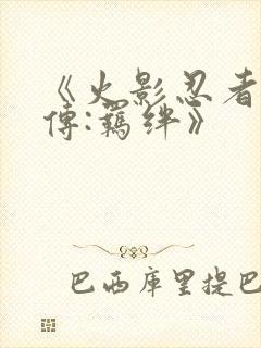 《火影忍者疾风传:羁绊》