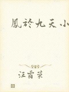 凤于九天小说