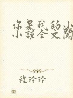 你是我的小确幸小说全文阅读