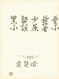 黑帮少爷爱上我小说原著小说