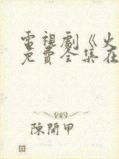 电视剧《火神》免费全集在线观看封面