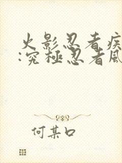 火影忍者疾风传:究极忍者风暴2