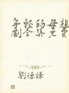 年轻的母亲电视剧全集免费观看