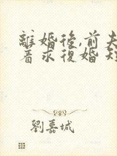 离婚后,前夫哭着求复婚 短剧