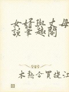 女婿与丈母娘小说笔趣阁