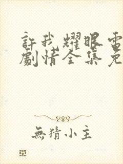 许我耀眼电视剧剧情全集免费观看