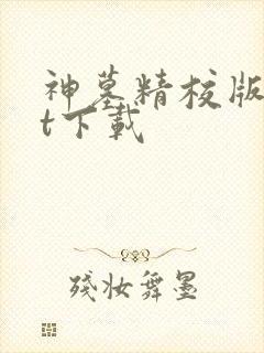 神墓精校版txt下载
