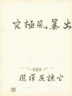 究极风暴出招表封面