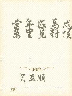 当年匹马戍梁州万里觅封侯