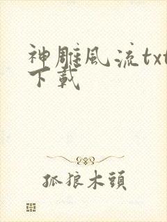 神雕风流txt下载