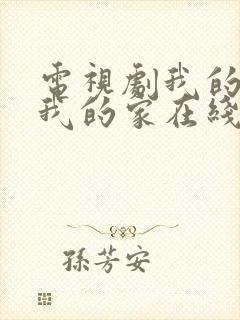 电视剧我的孩子我的家在线观看