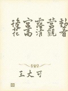 后宫露营动漫樱花高清观看