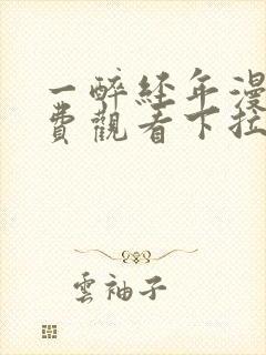 一醉经年漫画免费观看下拉式六漫画