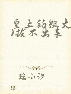 皇上的粗大(h)拔不出来