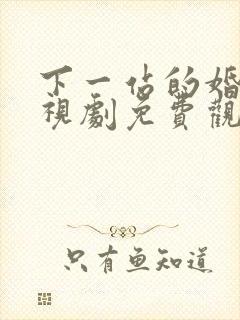 下一站的婚姻电视剧免费观看